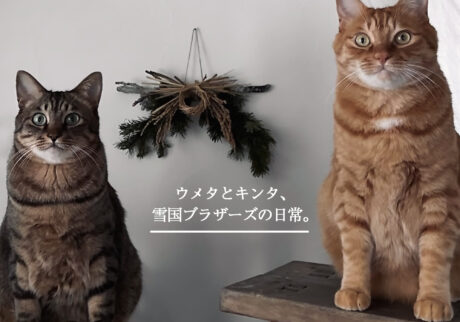 ウメタとキンタ、雪国ブラザーズの日常。