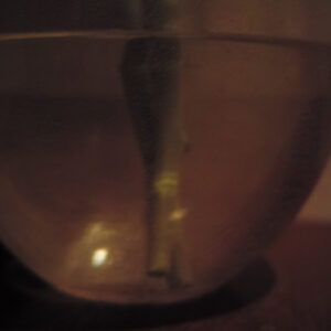 今月の写真家、今日の一枚。佐藤 隼 vol.5 | Yamagata, 2024