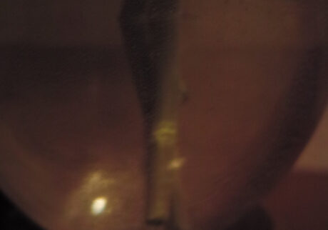 今月の写真家、今日の一枚。佐藤 隼 vol.5 | Yamagata, 2024 今月の写真家、今日の一枚。佐藤 隼 vol.5 | Yamagata, 2024