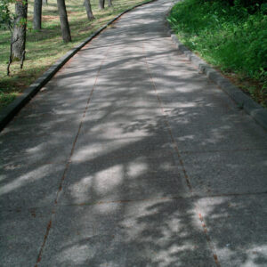 今月の写真家、今日の一枚。佐藤 隼 vol.9 | Yamagata, 2024