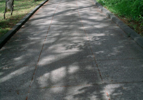 今月の写真家、今日の一枚。佐藤 隼 vol.9 | Yamagata, 2024