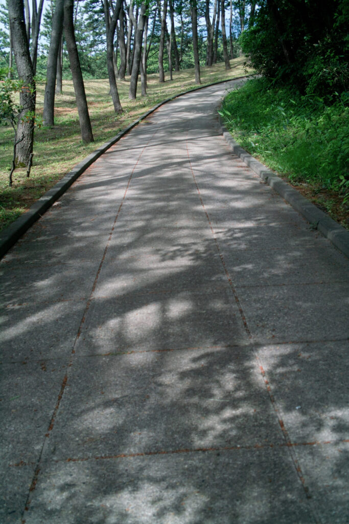 今月の写真家、今日の一枚。佐藤 隼 vol.9