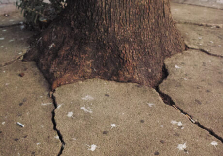 今月の写真家、今日の一枚。佐藤 隼 vol.10 | Tokyo, 2024 今月の写真家、今日の一枚。佐藤 隼 vol.10 | Tokyo, 2024