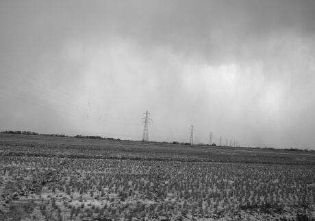 今月の写真家、今日の一枚。佐藤 隼 vol.11 | Yamagata, 2025 今月の写真家、今日の一枚。佐藤 隼 vol.11 | Yamagata, 2025