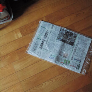 今月の写真家、今日の一枚。佐藤 隼 vol.19 | Yamagata, 2024 今月の写真家、今日の一枚。佐藤 隼 vol.19 | Yamagata, 2024