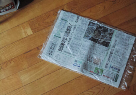 今月の写真家、今日の一枚。佐藤 隼 vol.19 | Yamagata, 2024 今月の写真家、今日の一枚。佐藤 隼 vol.19 | Yamagata, 2024