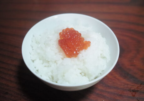 今月の写真家、今日の一枚。佐藤 隼 vol.28 | Yamagata, 2024