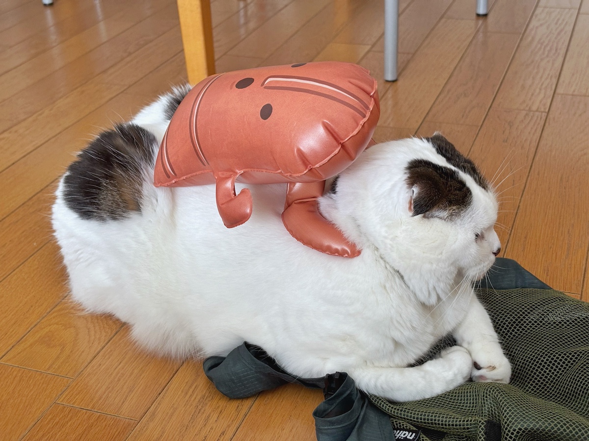 背中に埴輪？【いなほ、オレ物語。vol.259】