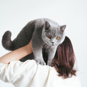 goma_bsh_プロフィール写真