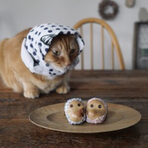 被り物なら、お任せあれ。茶トラ キジトラウメタとキンタ | キンタ「こんなのだって似合うでしょ？」