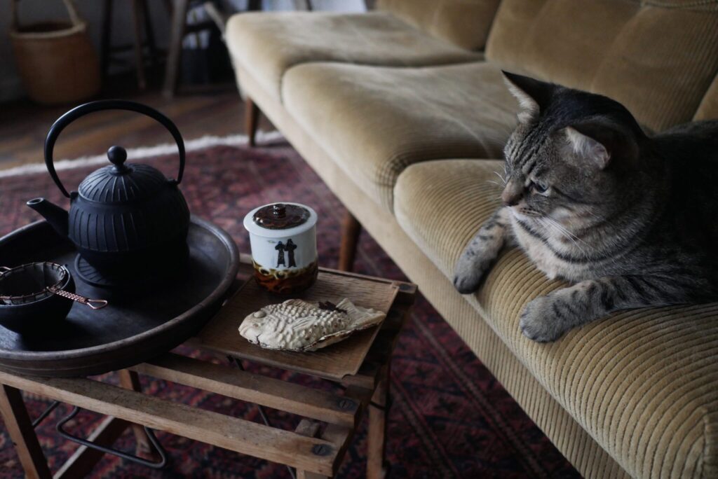 ウメタのおやつチェック。茶トラ キジトラ ウメタとキンタ | ウメタ「これ、不思議だよね。お魚の形をしているのに、甘い匂い」 ウメタのおやつチェック。茶トラ キジトラ ウメタとキンタ | ウメタ「これ、不思議だよね。お魚の形をしているのに、甘い匂い」