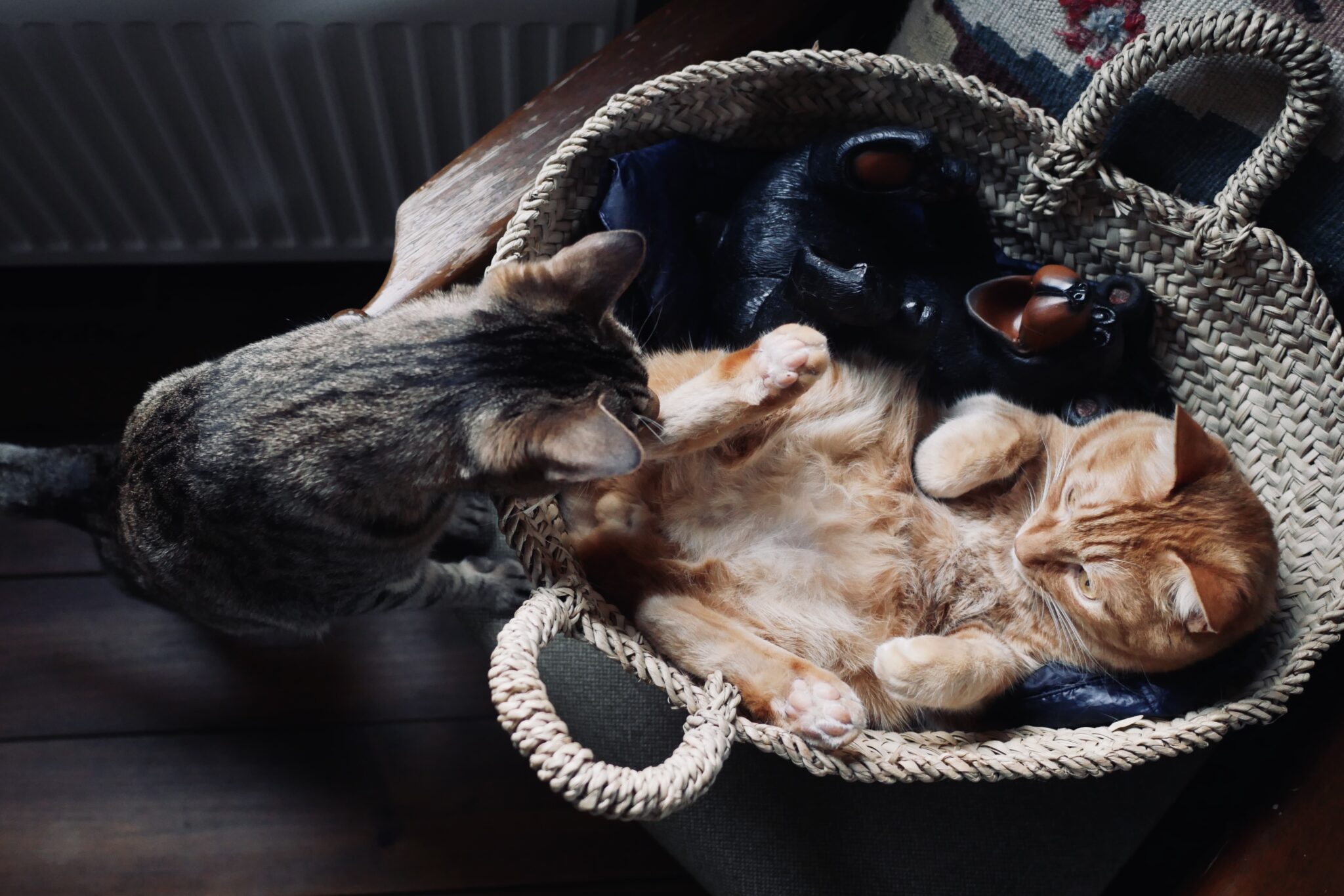 ウメタがふたり……？【ウメタとキンタ、雪国ブラザーズの日常。vol.12】