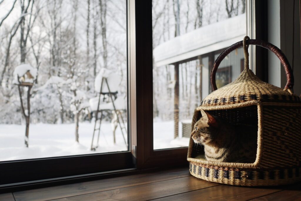 キンタが外にいる隙に……。茶トラ キジトラ ウメタとキンタ | ウメタ「冬になったら外はまっ白。寒そうだね」 キンタが外にいる隙に……。茶トラ キジトラ ウメタとキンタ | ウメタ「冬になったら外はまっ白。寒そうだね」