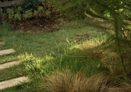 小さな幸せを運んでくれる庭。写真と文：齋藤拓磨 (花屋『Hljóð』店主) #2