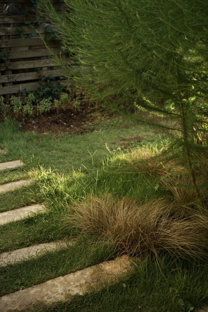 小さな幸せを運んでくれる庭。写真と文：齋藤拓磨 (花屋『Hljóð』店主) #2