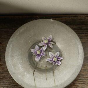 主役じゃなくても、いつもそばにいる花。写真と文：齋藤拓磨 (『Hljóð』店主) #3