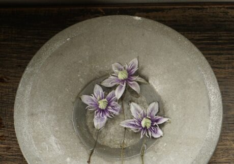 主役じゃなくても、いつもそばにいる花。写真と文：齋藤拓磨 (『Hljóð』店主) #3