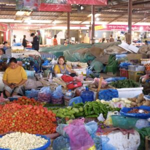 自然そのままをいただく「ラオスの市場」。写真と文：山口祐加 (自炊料理家) #4