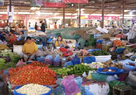 自然そのままをいただく「ラオスの市場」。写真と文:山口祐加 (自炊料理家) #4 自然そのままをいただく「ラオスの市場」。写真と文:山口祐加 (自炊料理家) #4