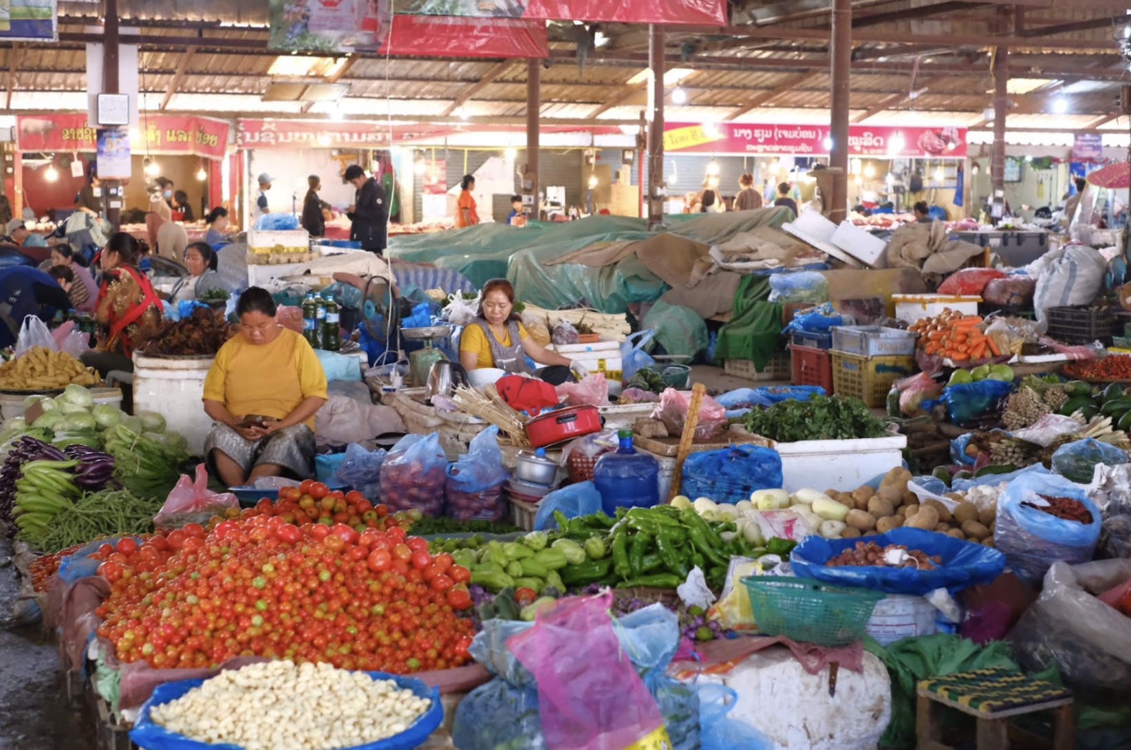 自然そのままをいただく「ラオスの市場」。写真と文：山口祐加 (自炊料理家) #4