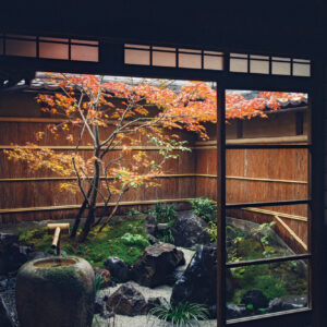 季節の移ろいとともに、色を重ねてゆく。京都『サロン＆ギャラリー 虹霓』の庭。ひみつの坪庭コレクション vol.23