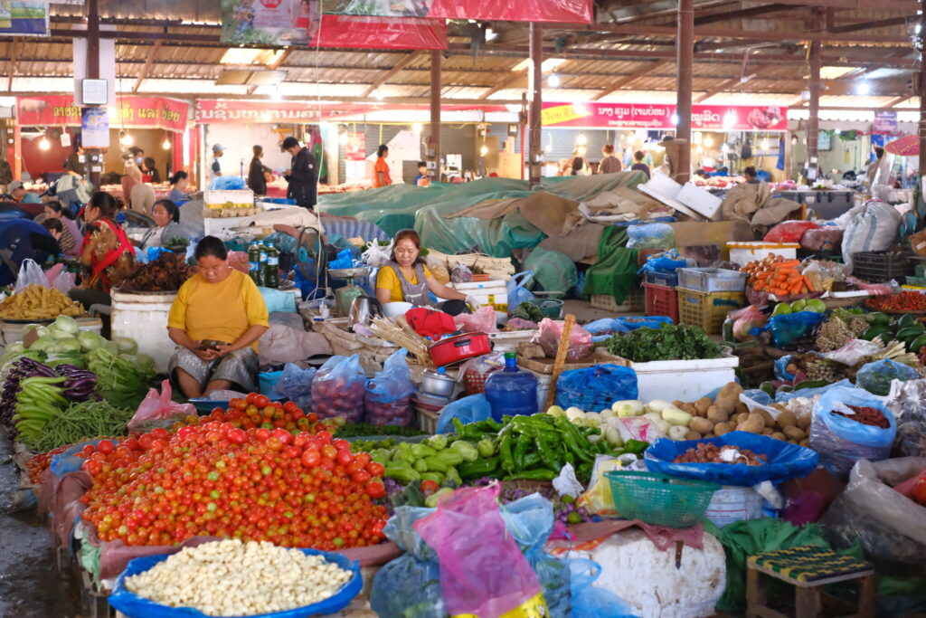 自然そのままをいただく「ラオスの市場」。文：山口祐加 (自炊料理家) #4