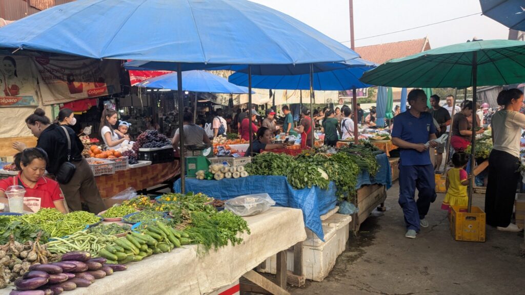 自然そのままをいただく「ラオスの市場」。文：山口祐加 (自炊料理家) #4