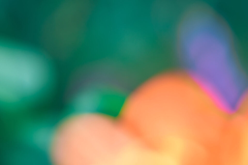 写真家・吉森慎之介さんの新刊「PAPA PLANTS」刊行に合わせて、『Araheamy』にて写真展を開催。 #1 写真家・吉森慎之介さんの新刊「PAPA PLANTS」刊行に合わせて、『Araheamy』にて写真展を開催。 #1