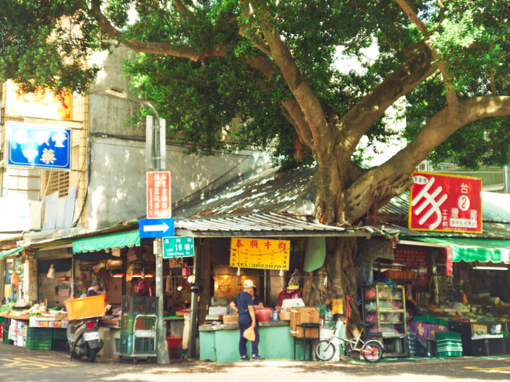 写真家・吉森慎之介さんの新刊「PAPA PLANTS」刊行に合わせて、『Araheamy』にて写真展を開催。 #3 | 「Problem Plants」の一枚。軒を突き破る大胆な姿。 写真家・吉森慎之介さんの新刊「PAPA PLANTS」刊行に合わせて、『Araheamy』にて写真展を開催。 #3 | 「Problem Plants」の一枚。軒を突き破る大胆な姿。