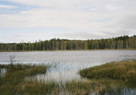 ガラス作家・山野アンダーソン陽子と写真家・三部正博の展覧会「Longing for Gray」が神戸『Vague Kobe』にて1月19日 (月) まで開催中。 | Longing for Grey #001 Masahiro Sambe 2025
Type-C print 49.3 x 37.7 cm