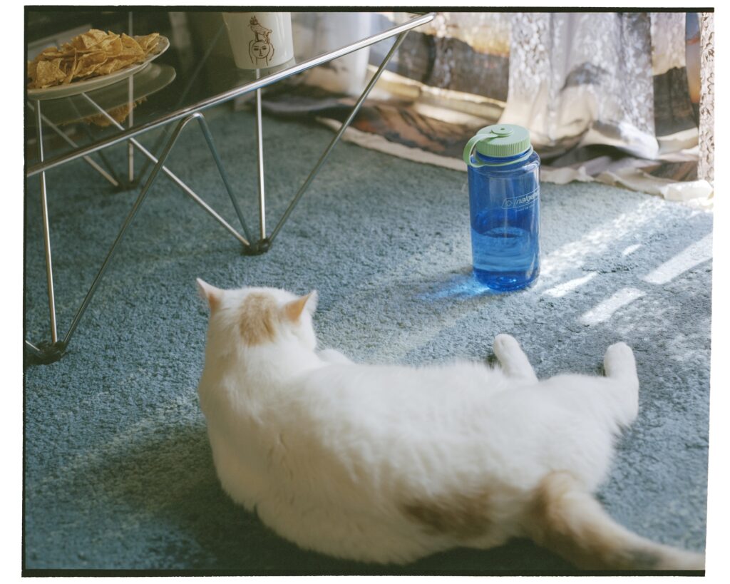 写真家・東海林広太さんのおうちの話。写真と文:服部恭平 (写真家) #2 写真家・東海林広太さんのおうちの話。写真と文:服部恭平 (写真家) #2