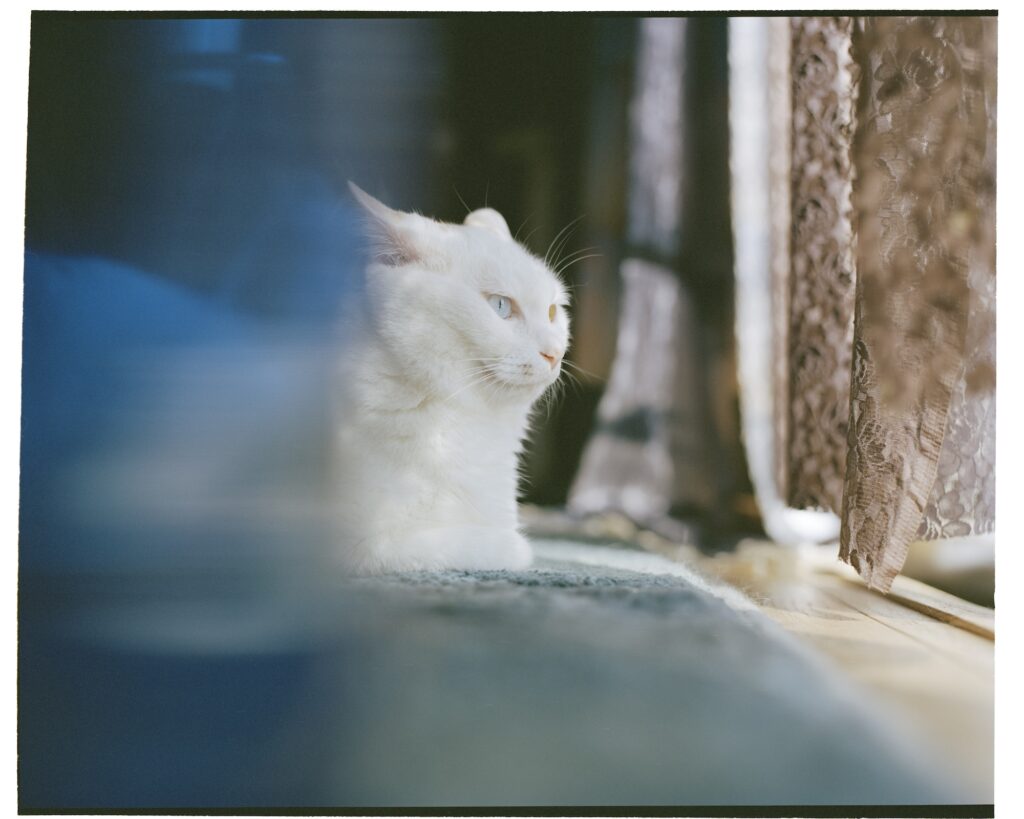 写真家・東海林広太さんのおうちの話。写真と文:服部恭平 (写真家) #2 写真家・東海林広太さんのおうちの話。写真と文:服部恭平 (写真家) #2