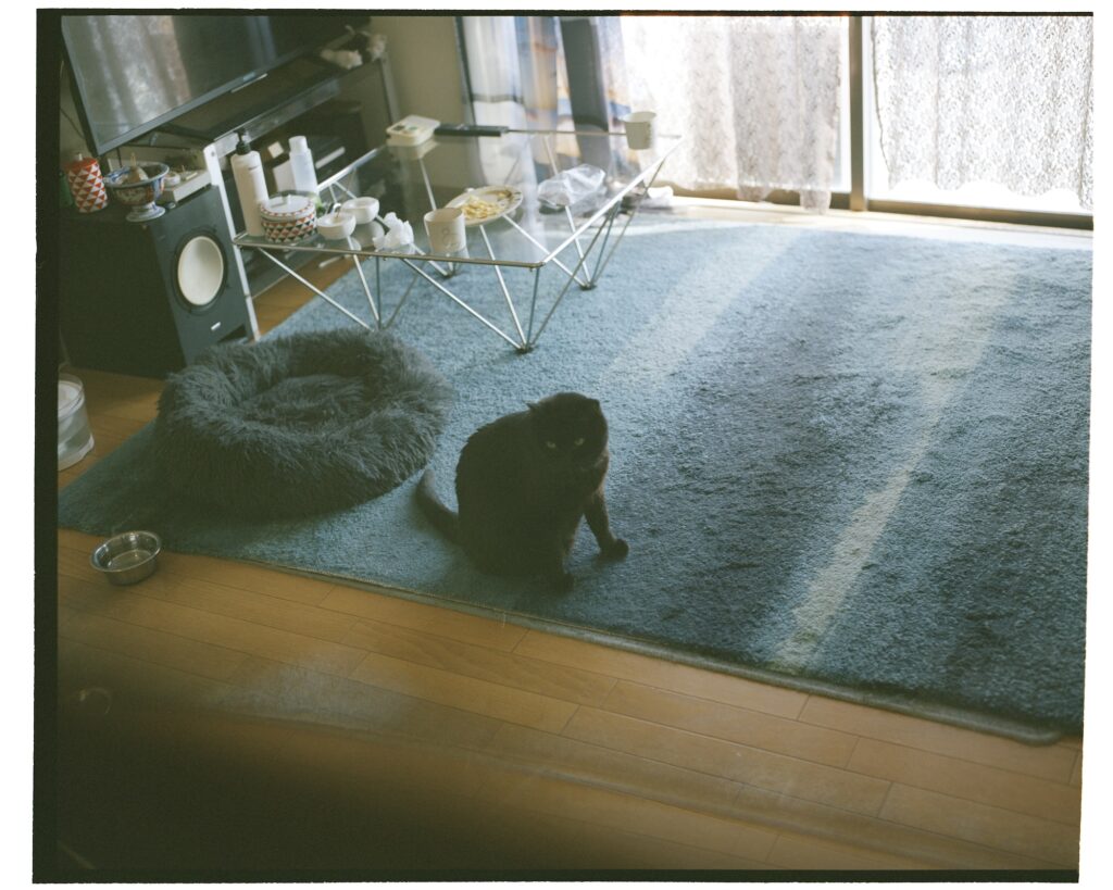 写真家・東海林広太さんのおうちの話。写真と文:服部恭平 (写真家) #2 写真家・東海林広太さんのおうちの話。写真と文:服部恭平 (写真家) #2