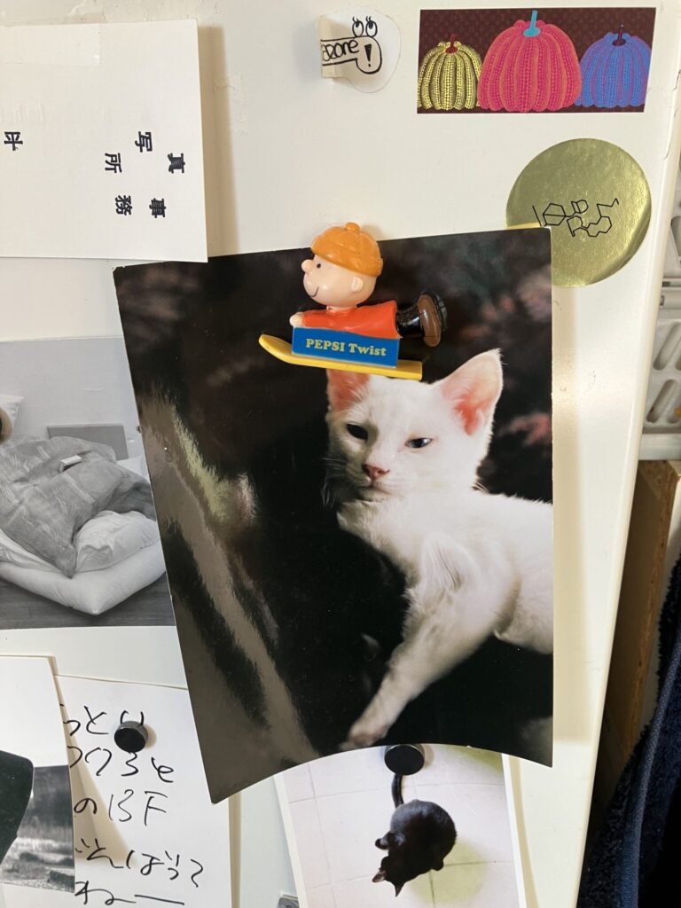 写真家・東海林広太さんのおうちの話。写真と文:服部恭平 (写真家) #2 写真家・東海林広太さんのおうちの話。写真と文:服部恭平 (写真家) #2