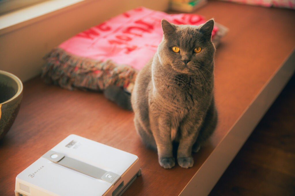 きれいな窓で、新しい年を。大切な人にも贈りたくなる、〈エコバックス〉の窓掃除ロボット。 きれいな窓で、新しい年を。大切な人にも贈りたくなる、〈エコバックス〉の窓掃除ロボット。