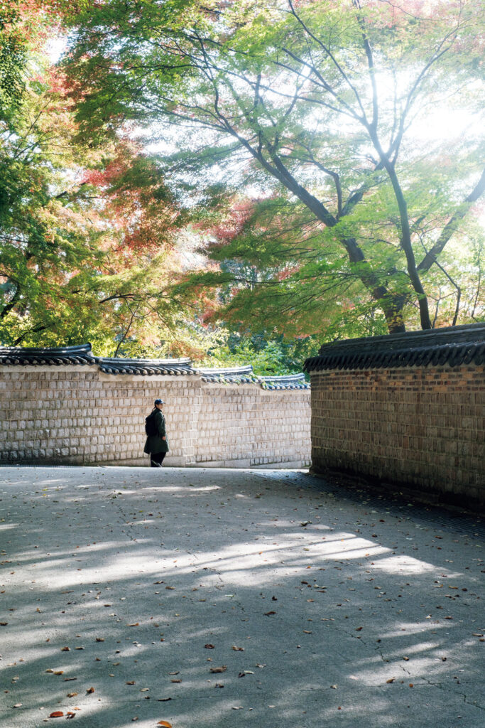 「王と王妃のための散歩道」と呼ばれている、昌徳宮 (チャンドックン) の後苑 (フウォン) 。静かな時間を過ごす場所へと、〈東京茶飯事 (TOKYO DABANSA) 〉のキム・ジノンさんが案内してくれました。 | 「王と王妃のための散歩道」と呼ばれている、昌徳宮（チャンドックン）の後苑（フウォン）。静かな時間を過ごす場所へと、〈東京茶飯事（TOKYO DABANSA）〉のキム・ジノンさんが案内してくれました。