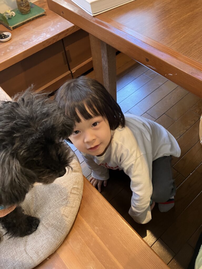 モデル、アーティスト・る鹿さんのおうちの話。写真と文：服部恭平 (写真家) #3