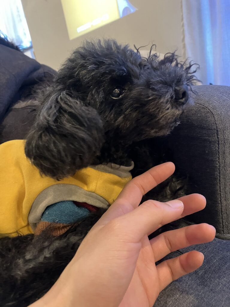 モデル、アーティスト・る鹿さんのおうちの話。写真と文：服部恭平 (写真家) #3