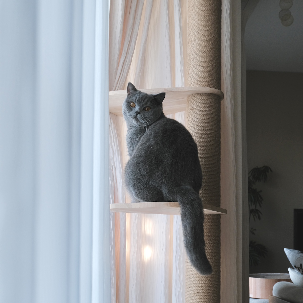 また、遊びにきてくださいね。 (最終回) 【ごまちゃん、今日も自由気まま。vol.28】