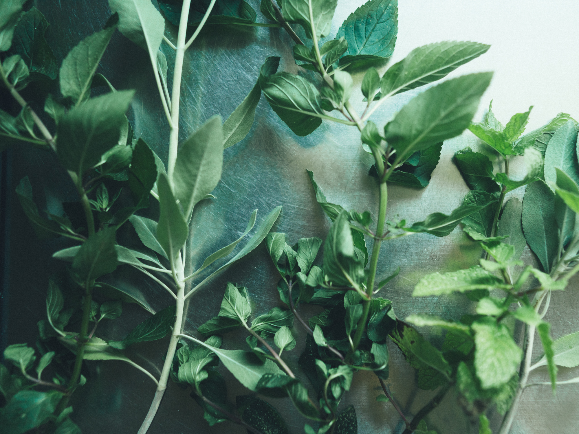 今月の写真家、今日の一枚。那須野 友暉 vol.8