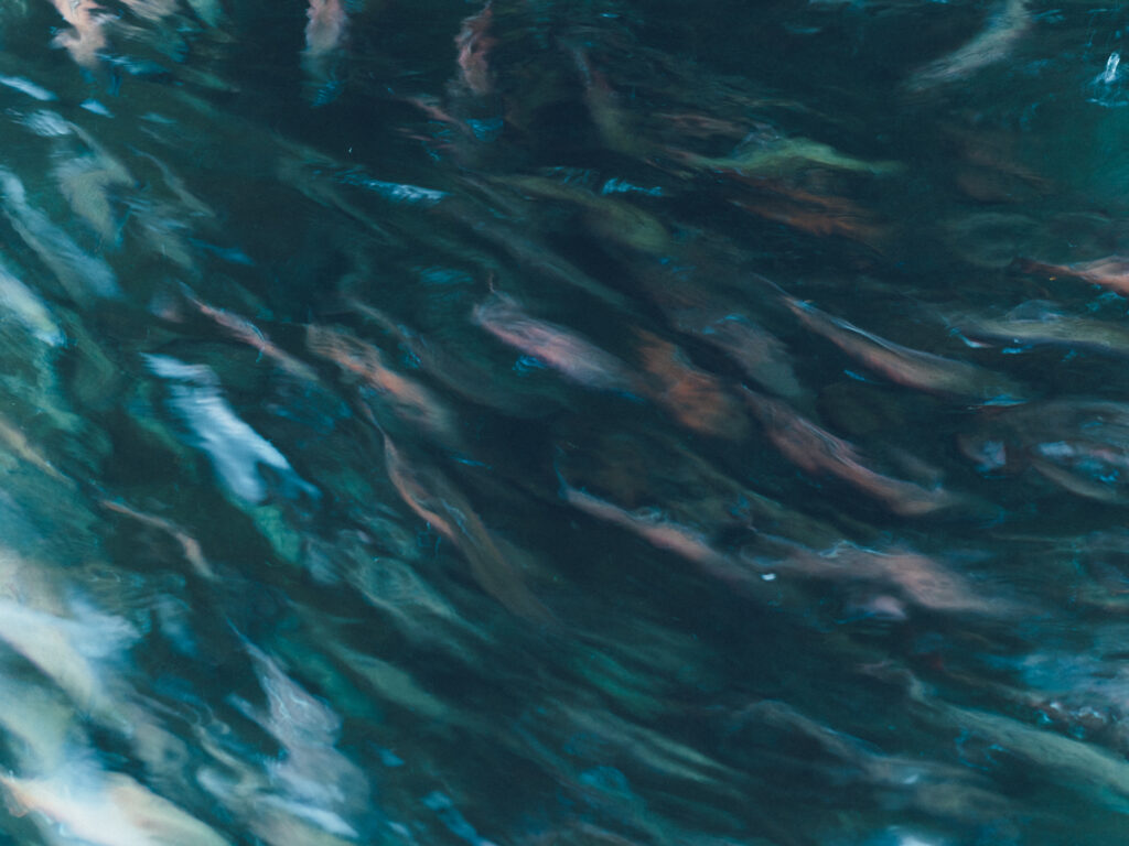 今月の写真家、今日の一枚。那須野 友暉 vol.9