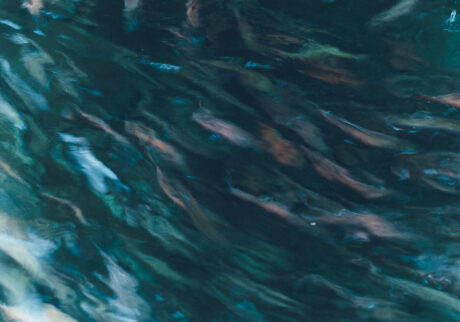 今月の写真家、今日の一枚。那須野 友暉 vol.9 | common_1