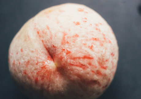 今月の写真家、今日の一枚。那須野 友暉 vol.10 | plants_4 今月の写真家、今日の一枚。那須野 友暉 vol.10 | plants_4