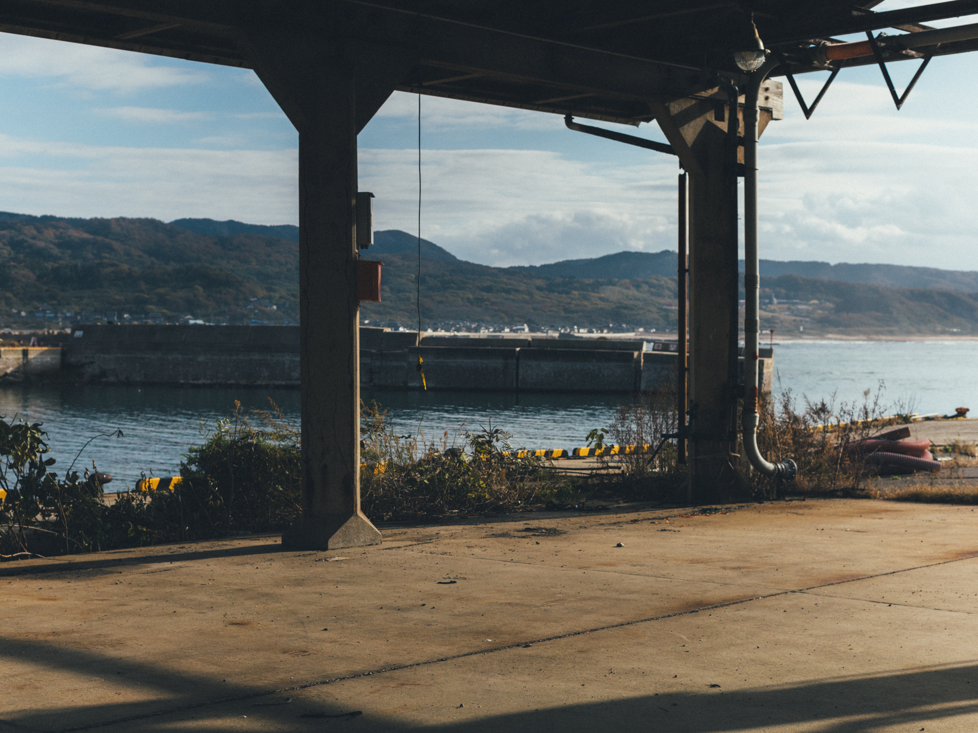 今月の写真家、今日の一枚。那須野 友暉 vol.11