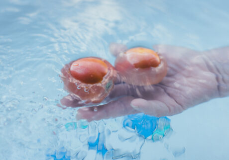 今月の写真家、今日の一枚。那須野 友暉 vol.12 | Tomato, Hand 今月の写真家、今日の一枚。那須野 友暉 vol.12 | Tomato, Hand