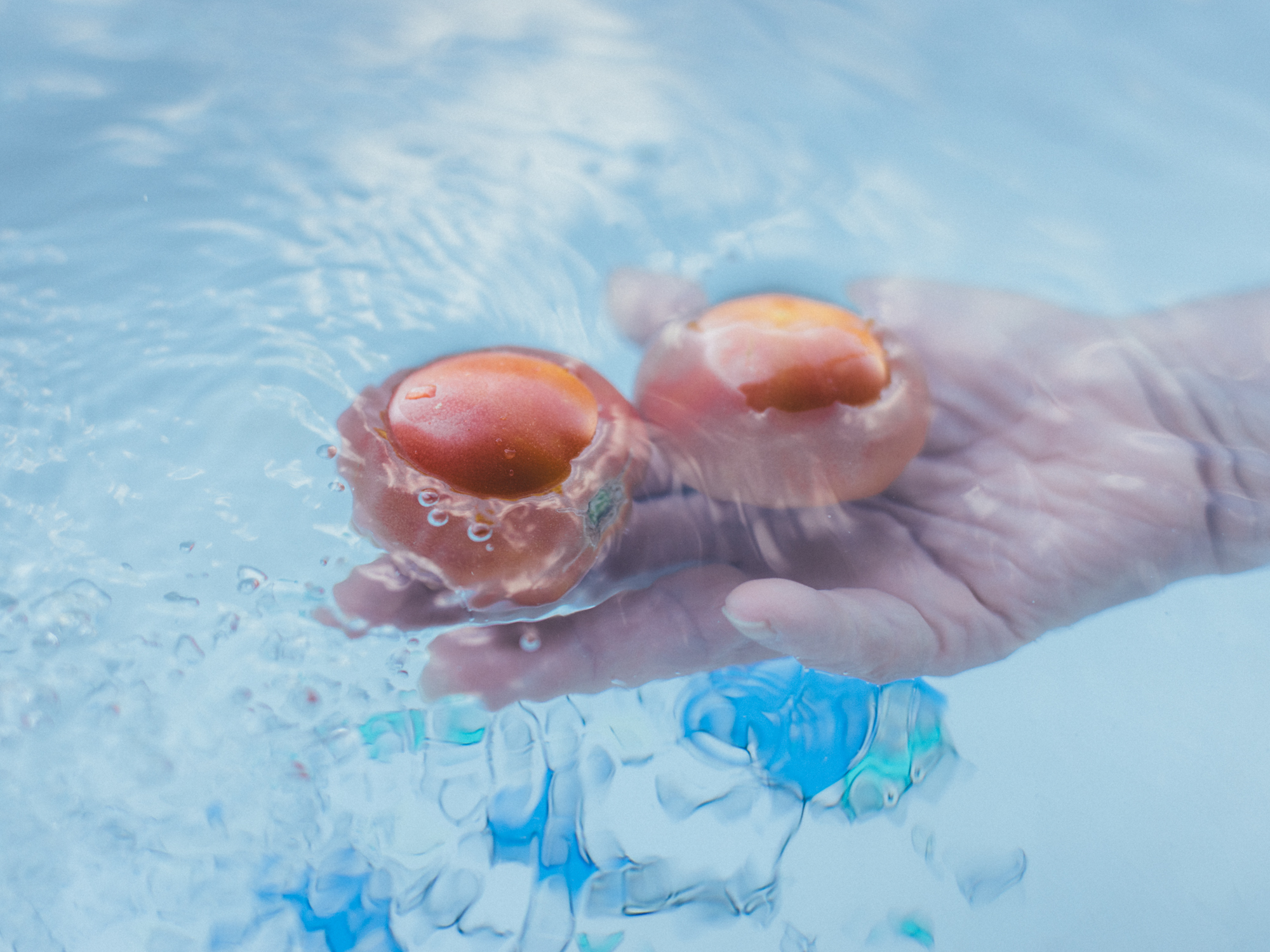 今月の写真家、今日の一枚。那須野 友暉 vol.12