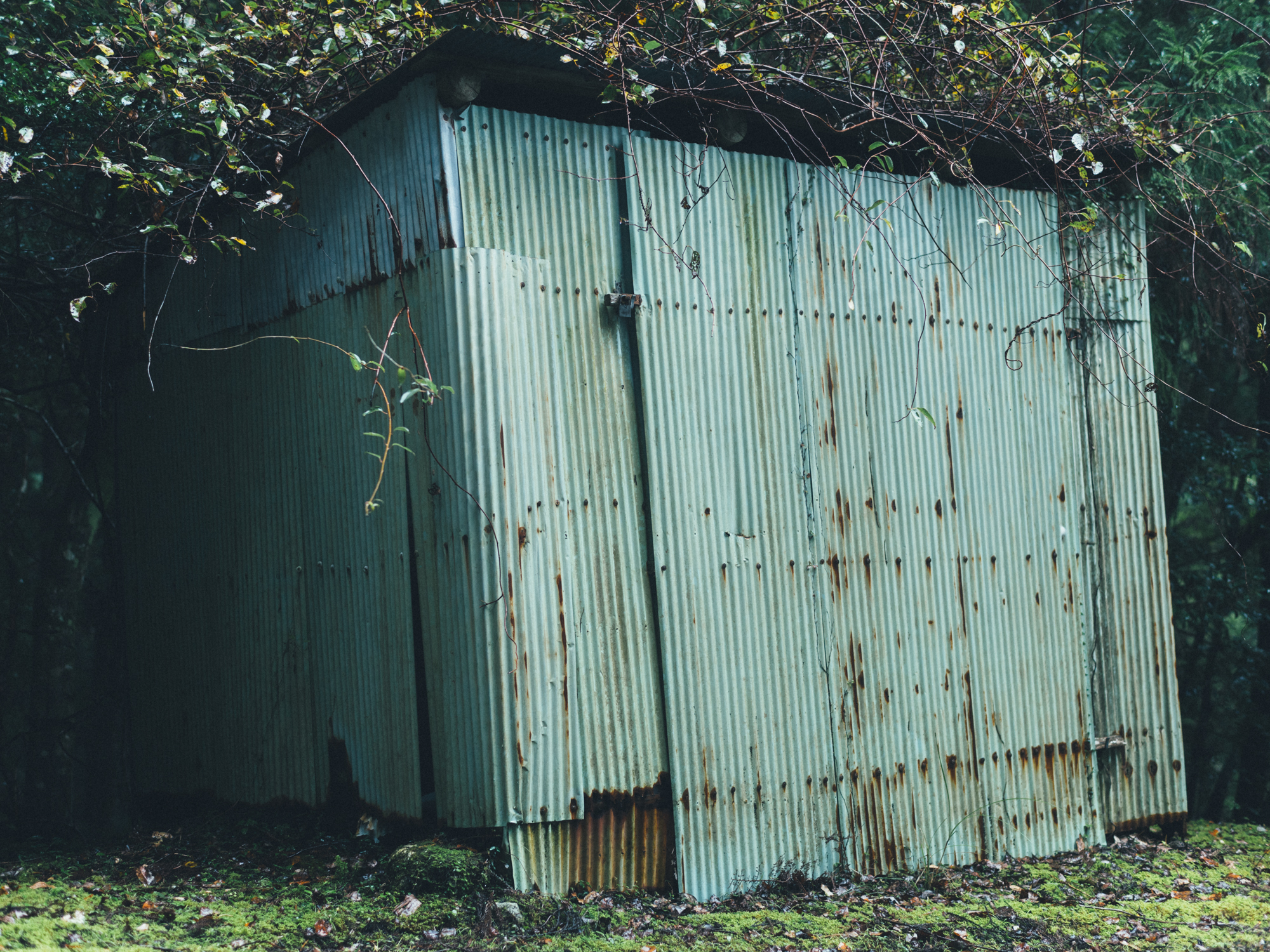 今月の写真家、今日の一枚。那須野 友暉 vol.14