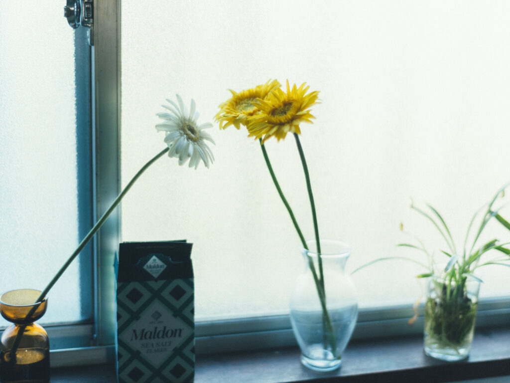 今月の写真家、今日の一枚。那須野 友暉 vol.15