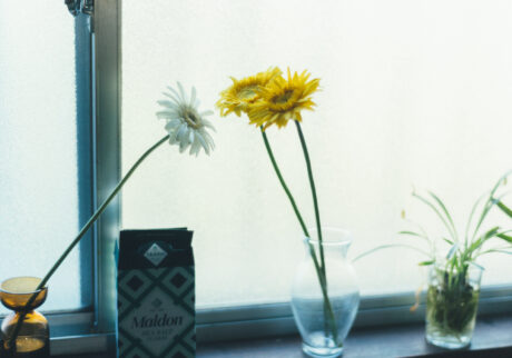 今月の写真家、今日の一枚。那須野 友暉 vol.15 | plants_5 今月の写真家、今日の一枚。那須野 友暉 vol.15 | plants_5