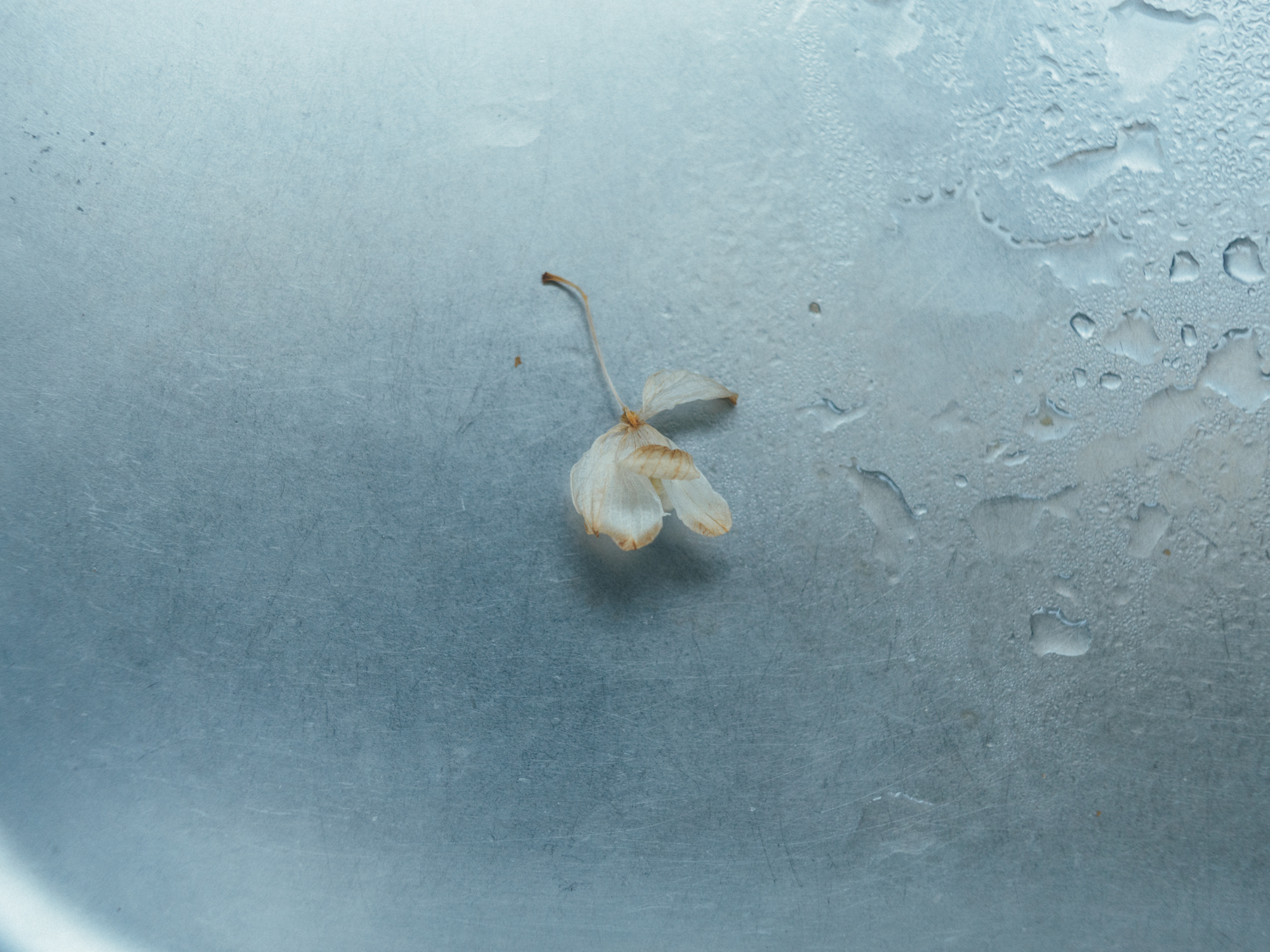 今月の写真家、今日の一枚。那須野 友暉 vol.18